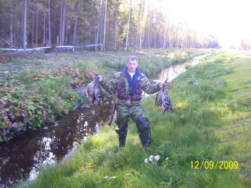 мои любимые крякаши