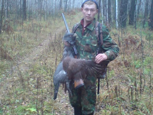 первый глухарь