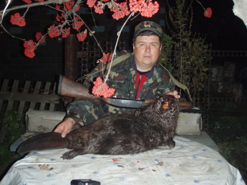 Как приятно добыть такого красавца..