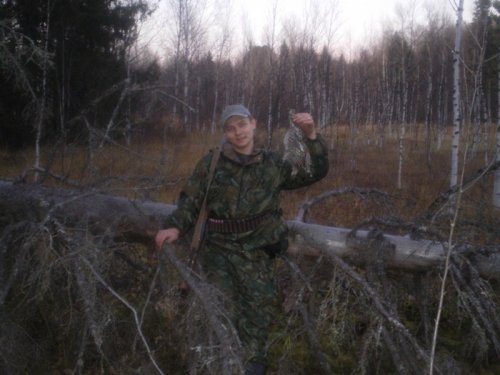 Рябчик