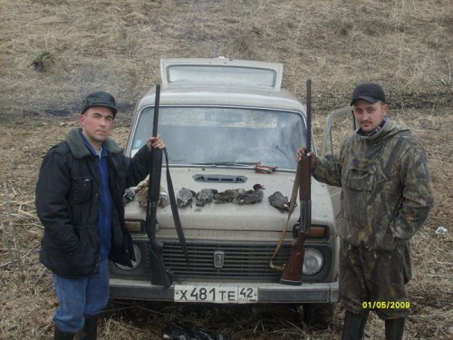 нормальная охота