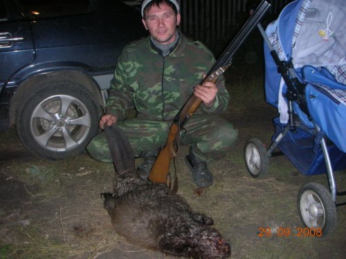 бобры добры!