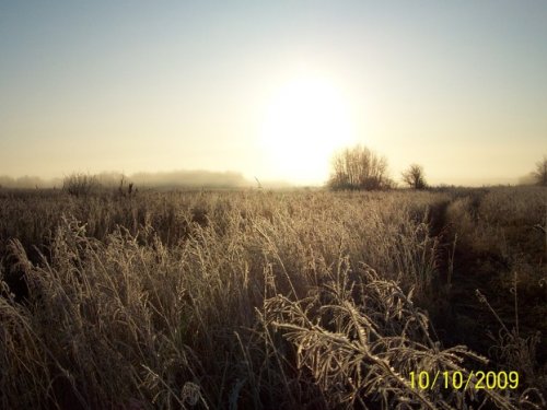 осень 2009