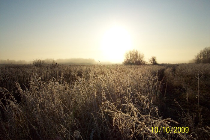 осень 2009