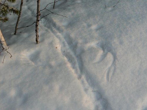Вот и побродил.