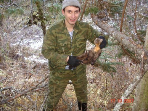 Попался собалек