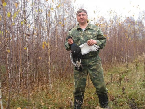 Дотоковался...А нефиг , весной надо это делать....