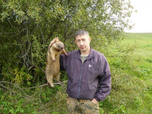 Последний трофей в 2009 г