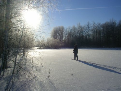 За зайцами 