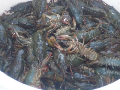 ручной улов