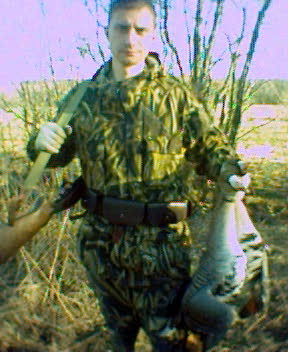 Два гуся