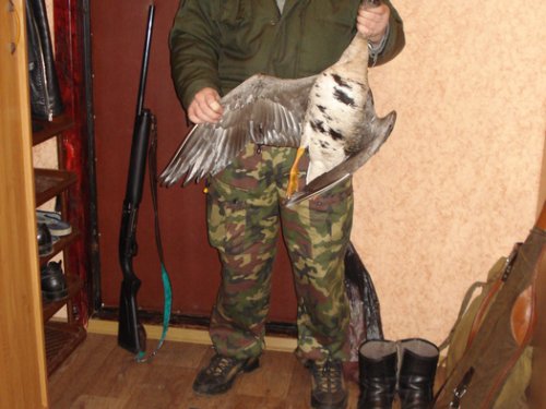 весна 2009