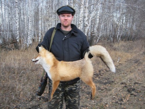 Воротничок