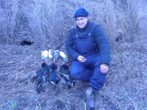 Ток-на фоне скрадка!