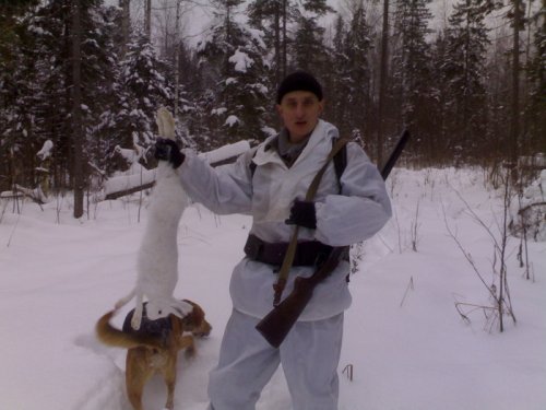 Беляк