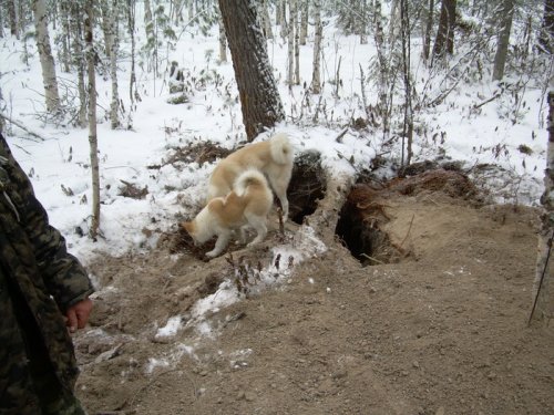 Остался один запах