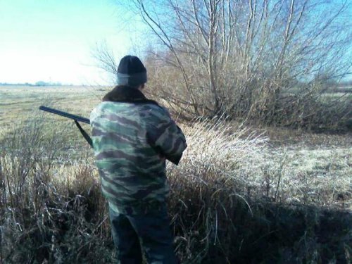 На номере