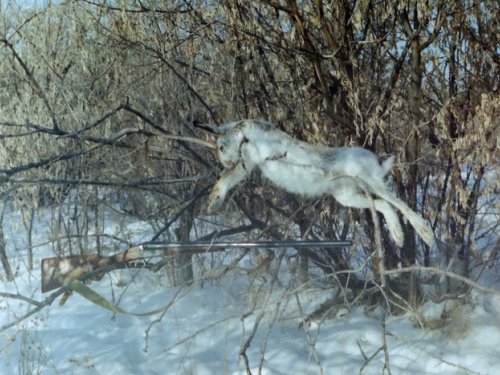 Февраль 2008