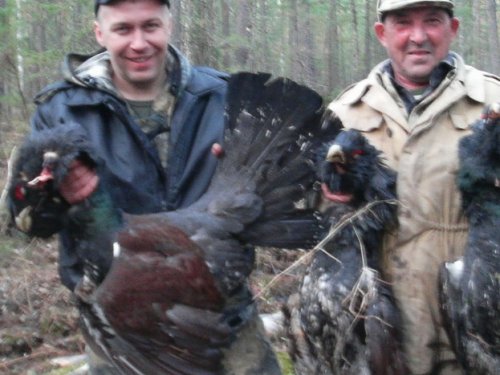 ток 2008