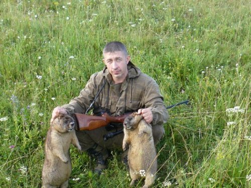 Охота на сурков