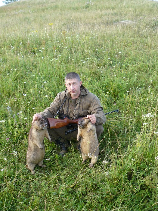 Охота на сурков