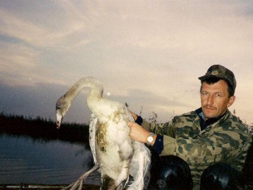И всё-таки спасли.