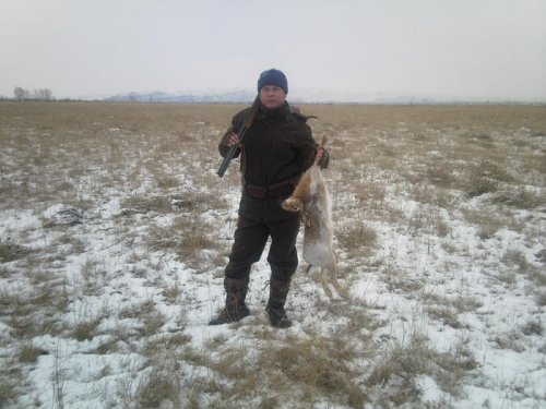 Заяц
