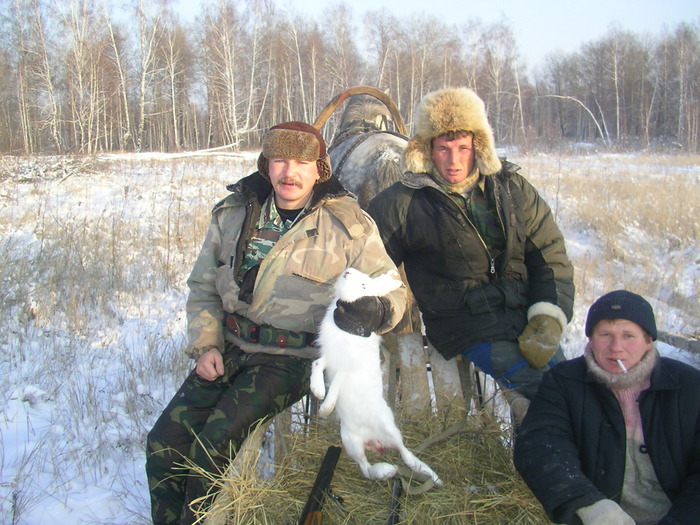 На лошади за зайчишками