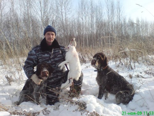 Тайра и Долли
