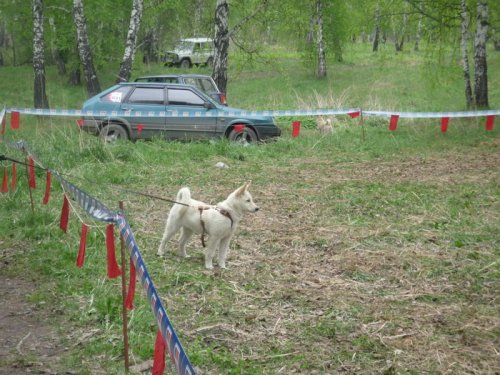 Ну так пацаны- первое место забито