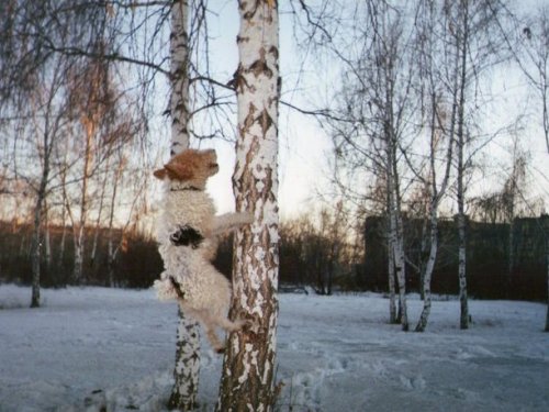 Всё равно достану=)))