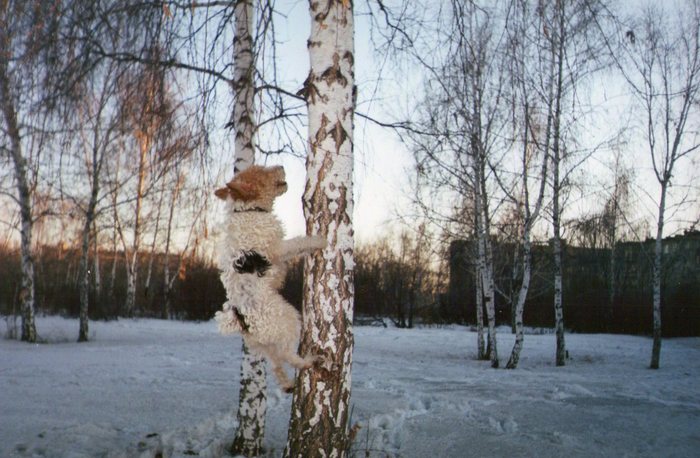 Всё равно достану=)))