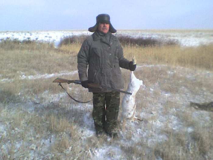 вот такие у нас зайцы
