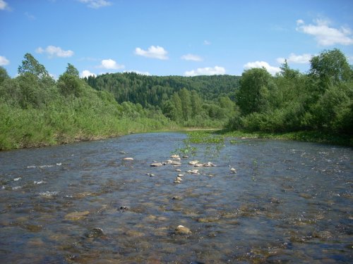 Большая Осипово