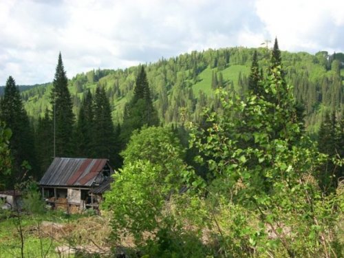 то же место,конец мая.