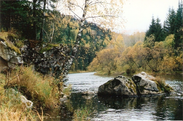 р.тайдон