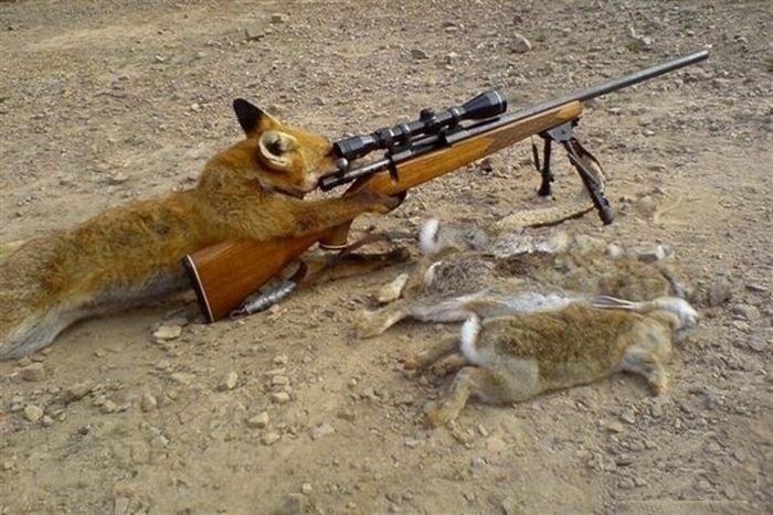 чего лапы бить