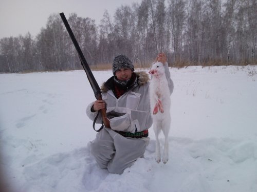 Трудовой зайчик, пришлось побегать