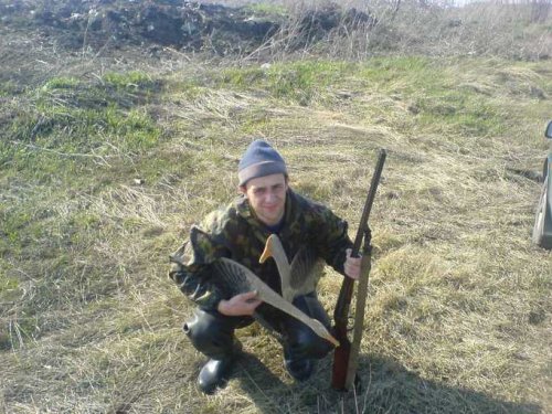 НА ГУСЯ
