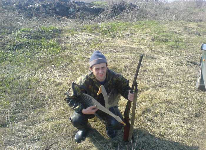 НА ГУСЯ