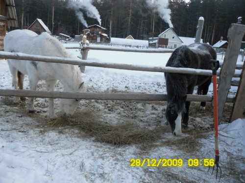 перед охотой