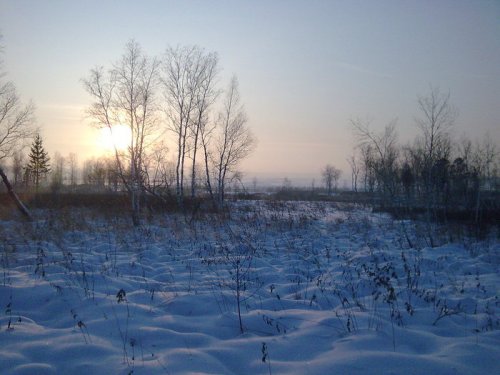 Полем.