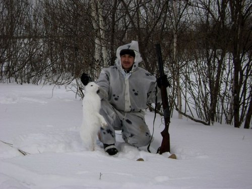 Хитрый зайка