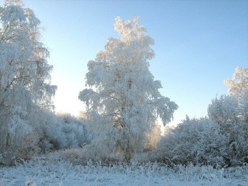 Морозное утро