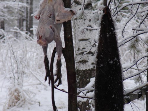 Шапка и ужин будет