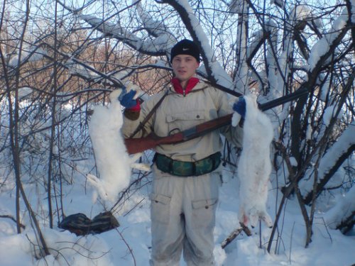 зайки