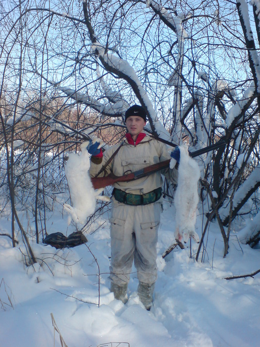 зайки