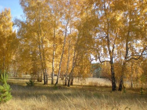 Краски осени 2