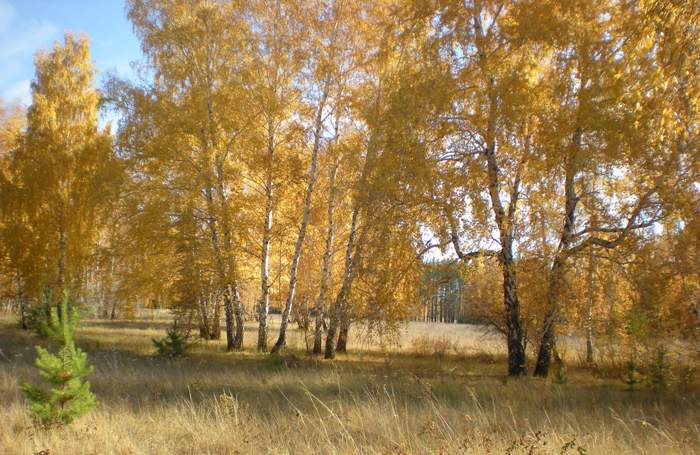 Краски осени 2