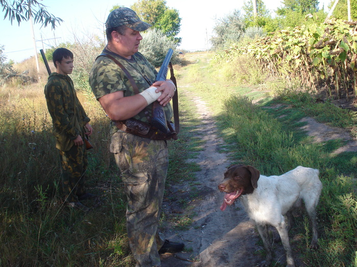 по гулобям стреляли 